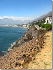 Crane_20081209_IMG_1853