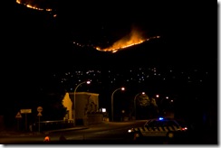 Crane_20081209__MG_6587