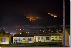 Crane_20081209__MG_6588