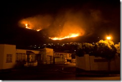 Crane_20081209__MG_6601