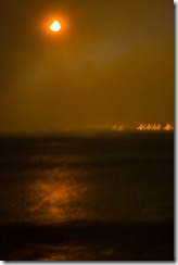 Crane_20081209__MG_6628