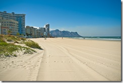 Crane_20081210__MG_6636