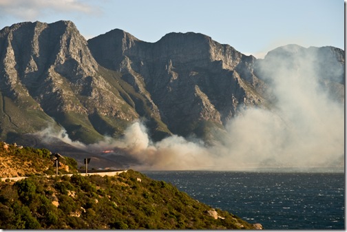 Crane_20081211__MG_6728