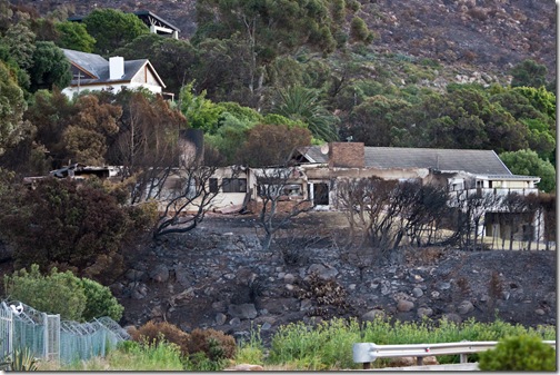 Crane_20081211__MG_6780